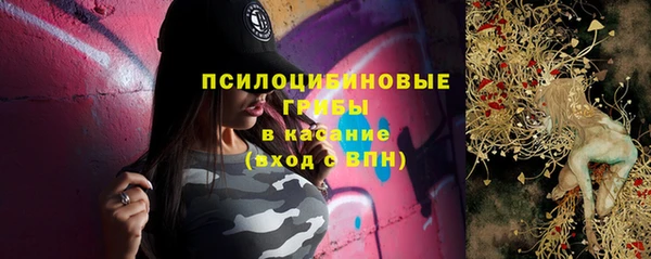 МДПВ Алексеевка