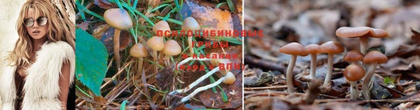 мяу мяу кристалл Алзамай